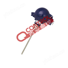 TR10-1威熱電阻溫度計1XPT100/A