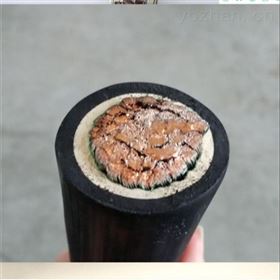 JBQ电机绕组引接线1*10电机引出线1*16