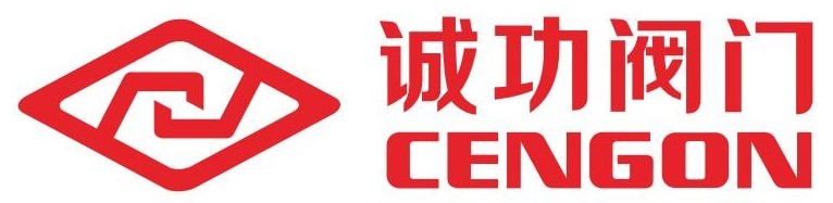 江苏诚功阀门科技有限公司