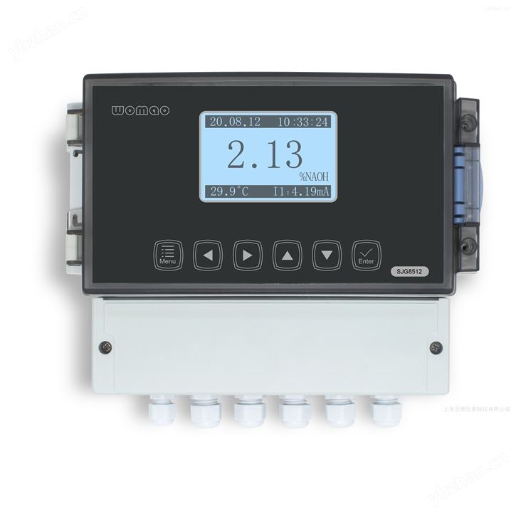 无极式工业电导率仪（浓度计）