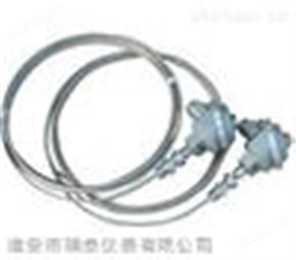 鎧裝鉑電阻 WZPK2-208 ￠5 G1/2 L=200*160