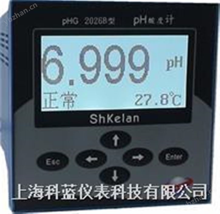 上海科蓝pH监测仪 pHORP监测仪