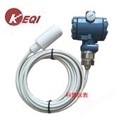 KQ-SMY/F防腐型投入式液位計