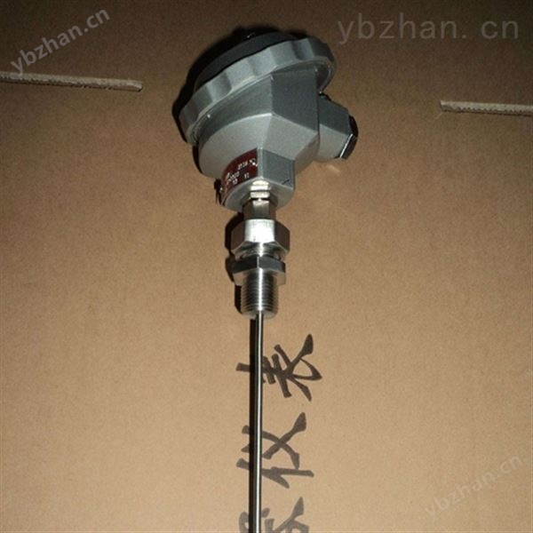 衛(wèi)生型熱電阻-特殊型熱電阻